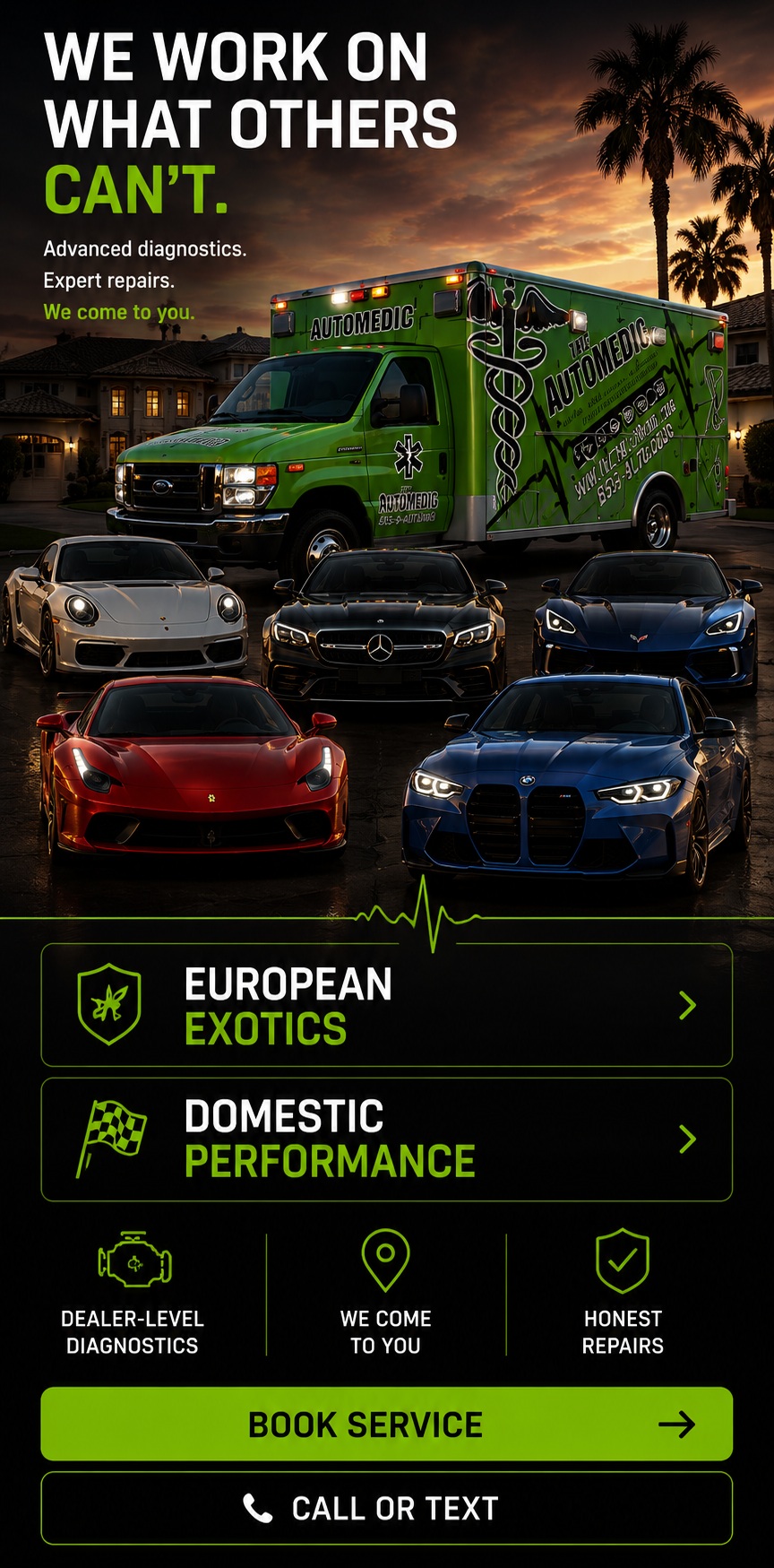 The AutoMedic works on European Exotics and Domestic Performance vehicles